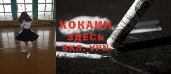 хмурый Абаза