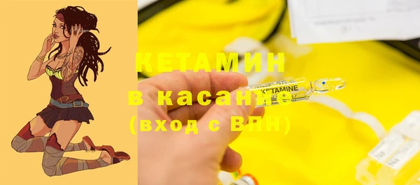 хмурый Абаза