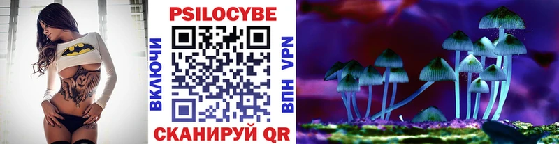 Псилоцибиновые грибы Psilocybe  Северодвинск 