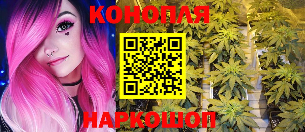 Канабис семена Северодвинск